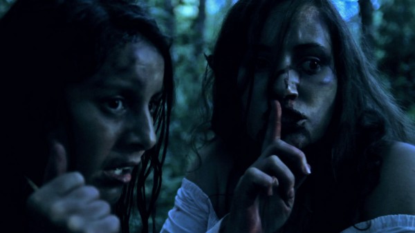 hidewoods (4)